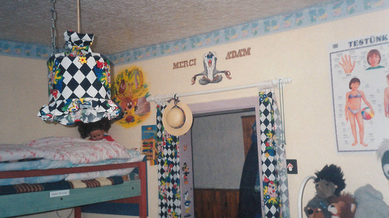 oroszlánkirály falfestés referencia